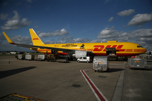 DHL's Boeing 767 on the runway, ready to deliver the gorillas